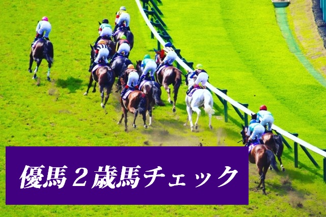 全日本2歳優駿回顧】レースレコードで圧勝、ドライスタウト/斎藤修 | 競馬ニュース