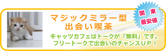 スピード エコ 日本橋店