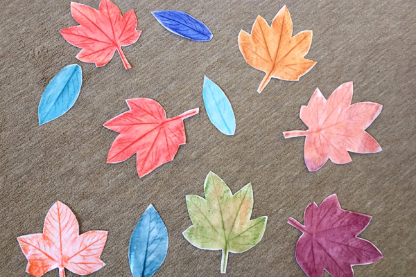 落ち葉で動物を作ったよ