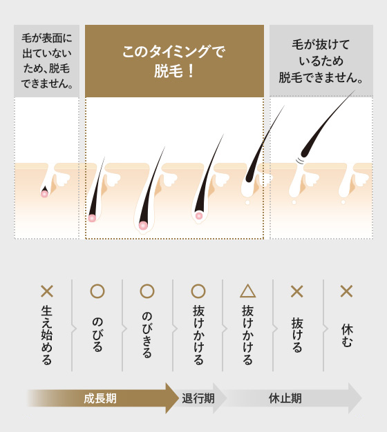 エステティックTBCの脱毛の口コミは悪い？やめたほうがいいは本当なのか徹底調査 | モアナスキン