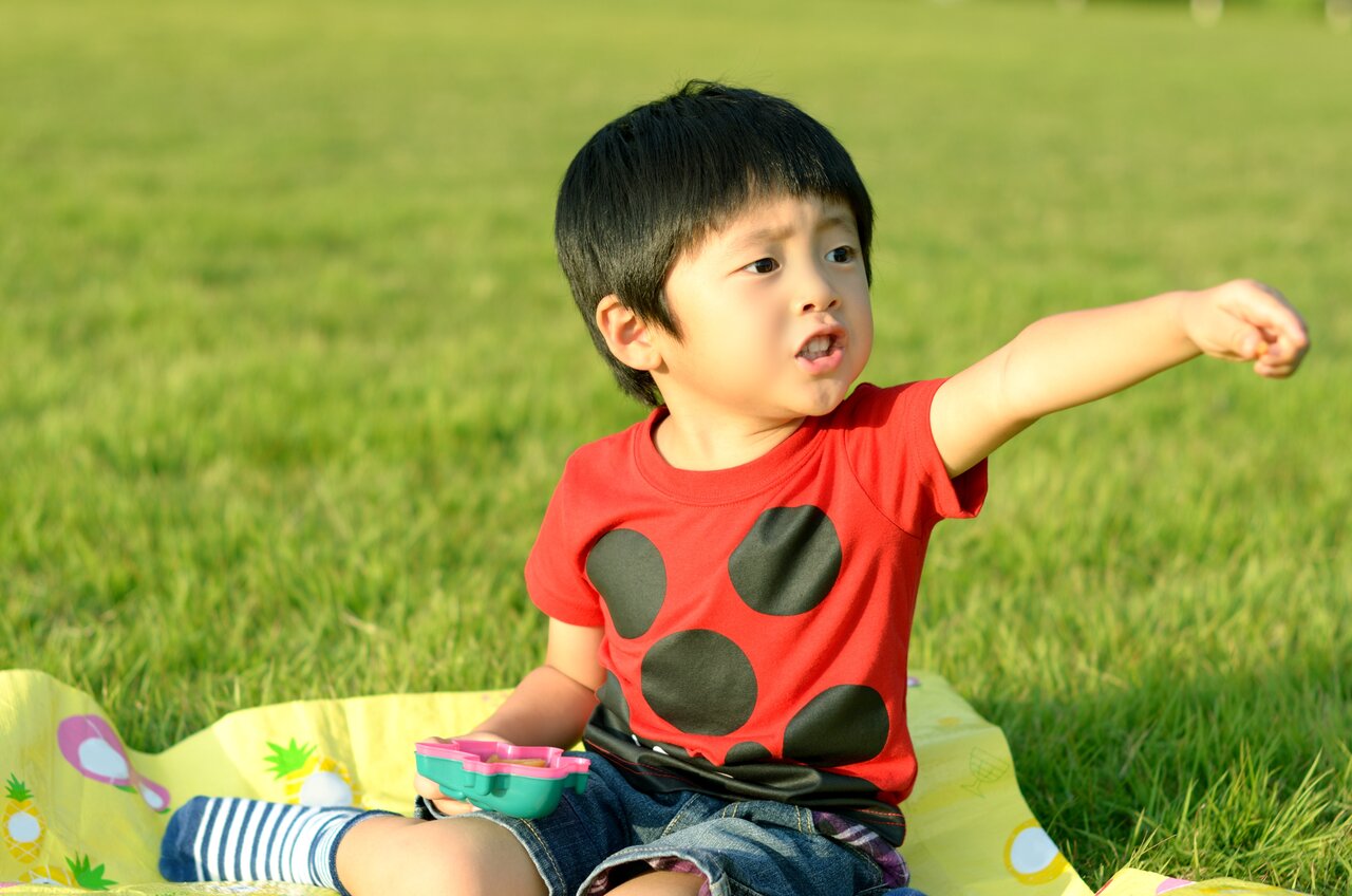 物を投げる子供＜＜1歳・2歳・3歳＞＞の心理としつけ方