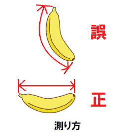 男性器の大きさについて -このペニスどうですか？ AVとか見る限り自分では- |