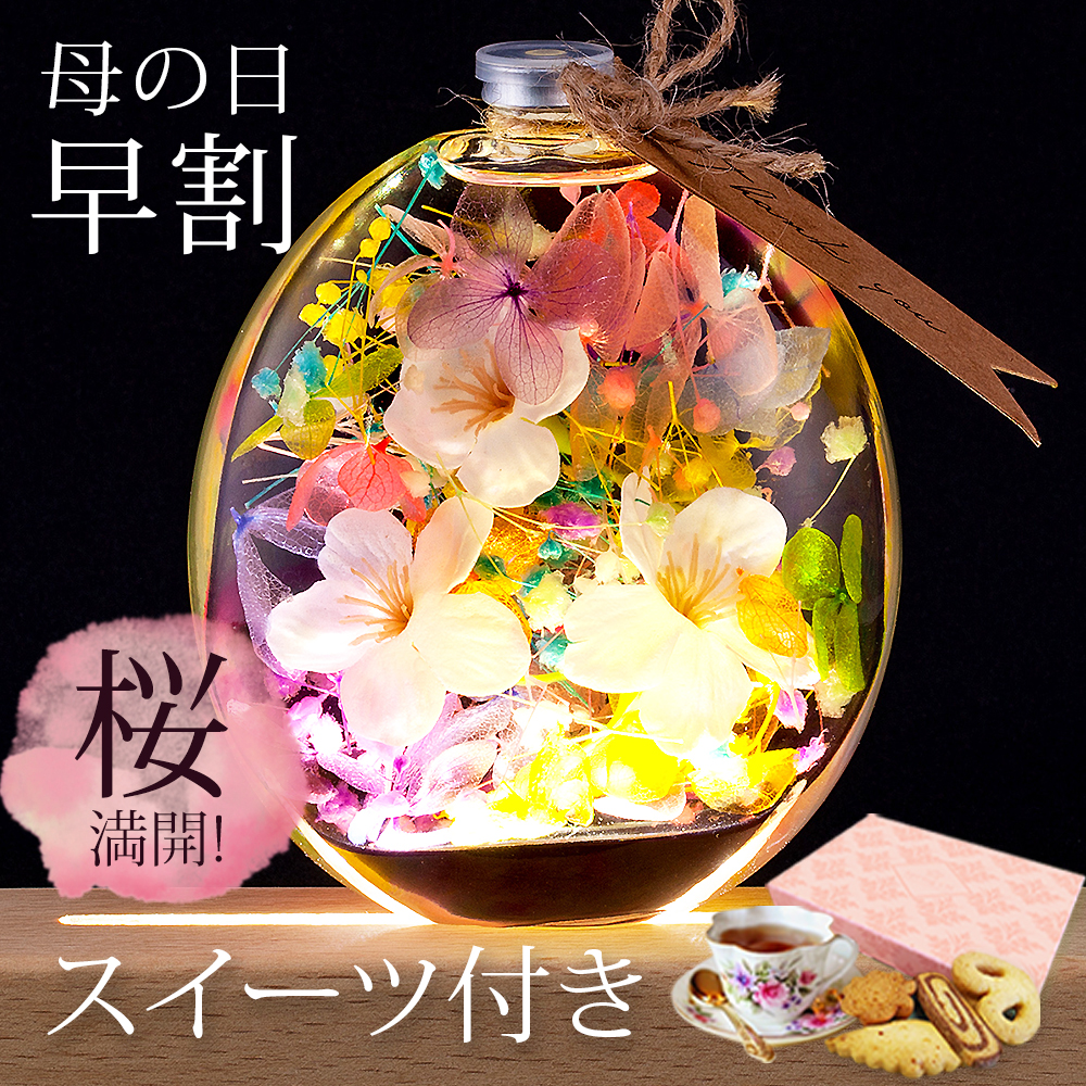 父 母 誕生日 60代 70代 美濃焼 名入れ桐箱入り 花工房