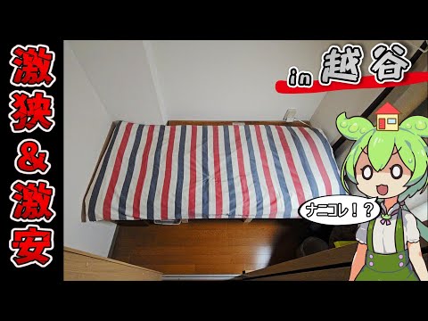 自己紹介】チャイエス大好きおじさん｜ニシキヘビ🐍