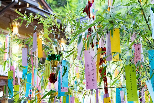 🌠たなばた飾り✨ - なみきッズ保育園 福島県郡山市