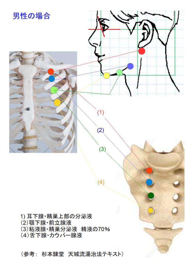 安宿緑☆안숙록 on X: 