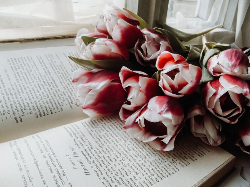 感謝・応援・友情 前向きな花言葉の花30選ギフカル