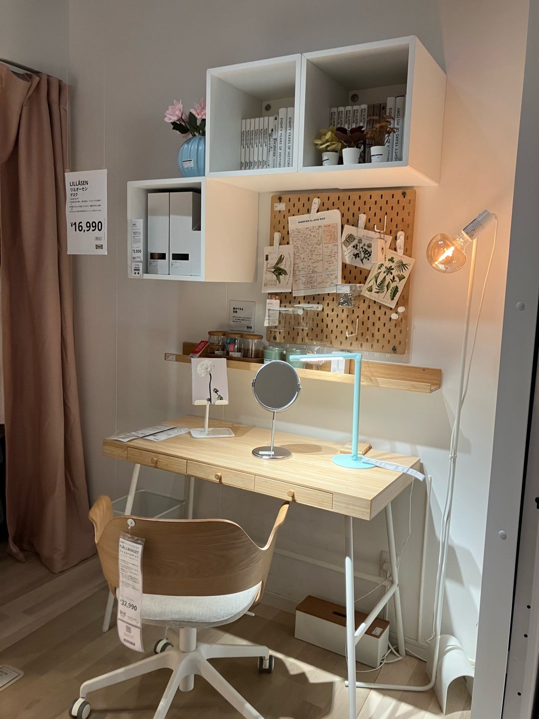 子供部屋」「子供の勉強机」におすすめの「観葉植物１７選」～風水で勉強運と成長運上昇、知的好奇心から思考力アップまで！～GOLD HOME～金の家