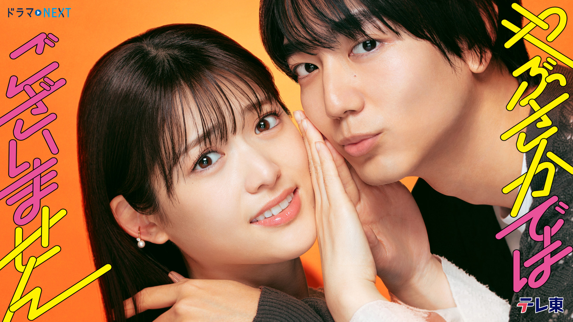 記念帳 「第62回 日本水石名品展」盆栽、盆栽書籍、盆栽鉢の通販│近代出版