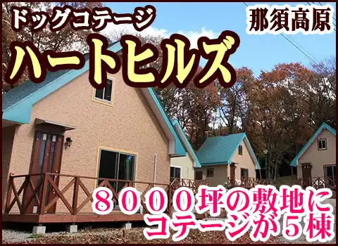 星のや軽井沢にペット同伴で行ってきました