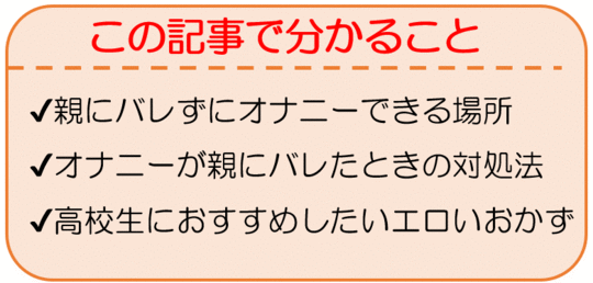 男子高校生のオナニー事情！バレないコツと最高のオカズを紹介！ | happy-travel[ハッピートラベル]