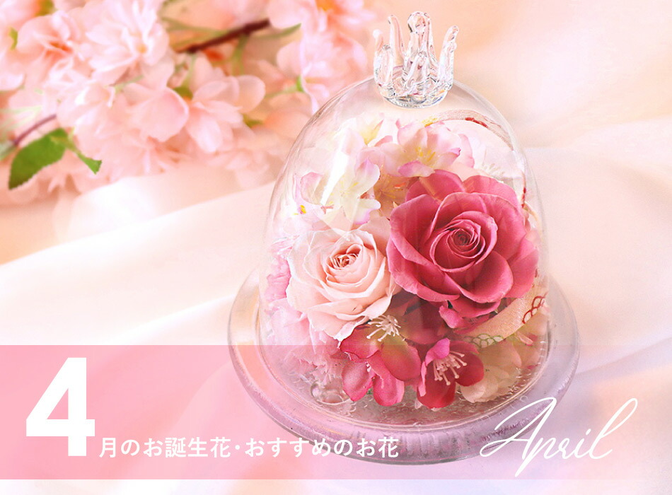 4月の誕生花一覧 ギフトにぴったりな花言葉も紹介ギフカル