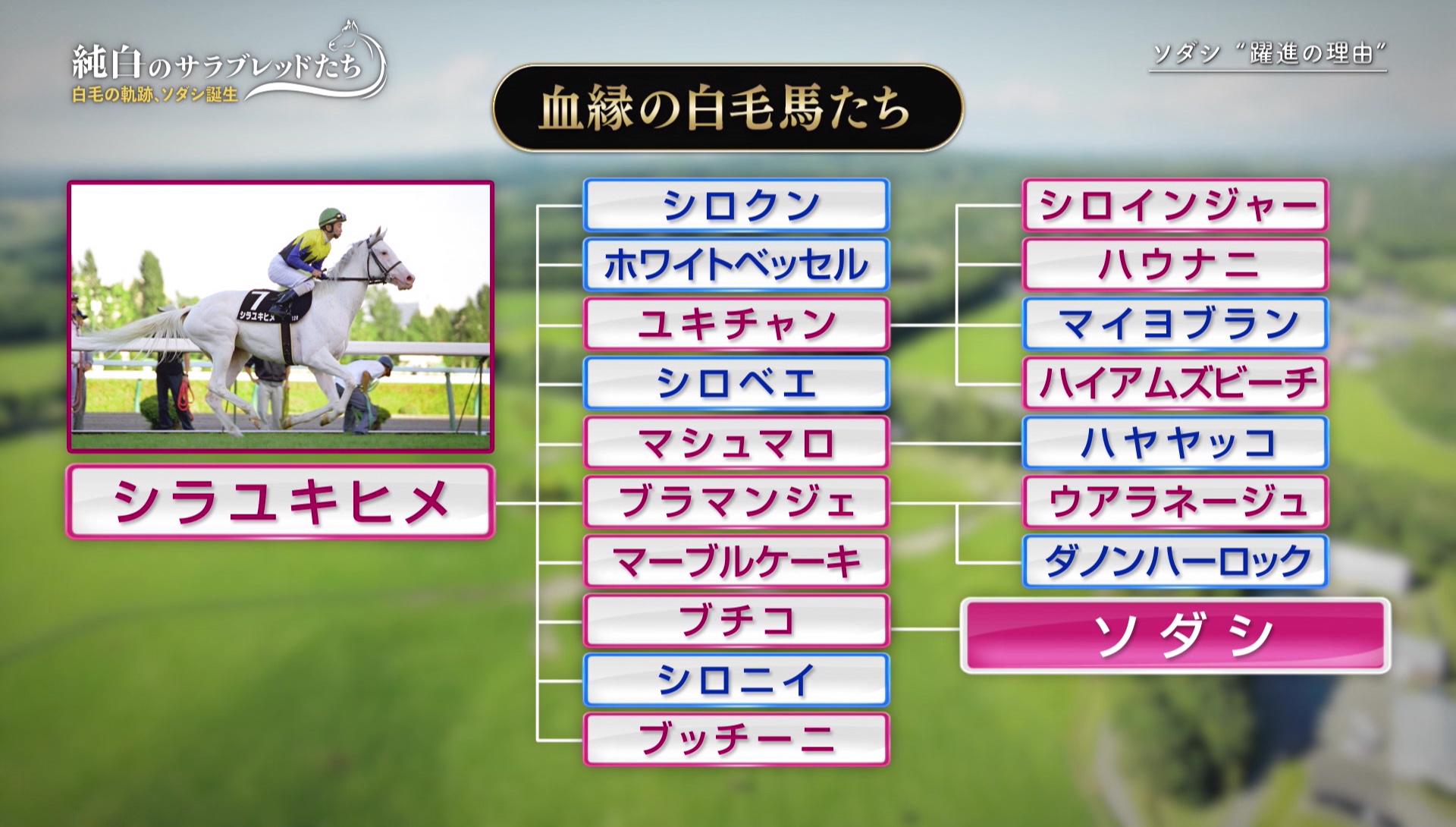 競馬ソダシの子供は元気カラ松girlのコスプレと競馬と日常ブログ