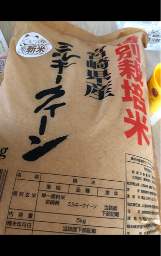 楽天市場】【米 送料無料 10kg】令和６年産栃木県産 ミルキークイーン 玄米