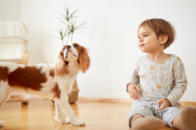 赤ちゃんが出てくる夢は可能性の象徴？基本的な意味とパターン別の暗示を解説当たる占いならmarouge マルージュ 占い 無料お試し占いも