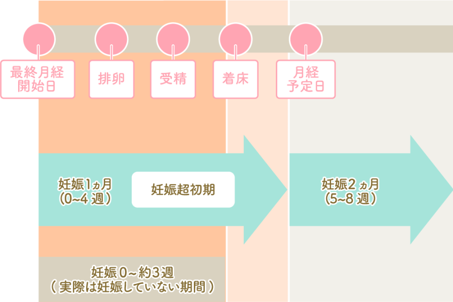 医師監修】生理前におりものは増える？減る？水っぽい・白いなどの特徴や妊娠の可能性など解説 | いつでもオイテル