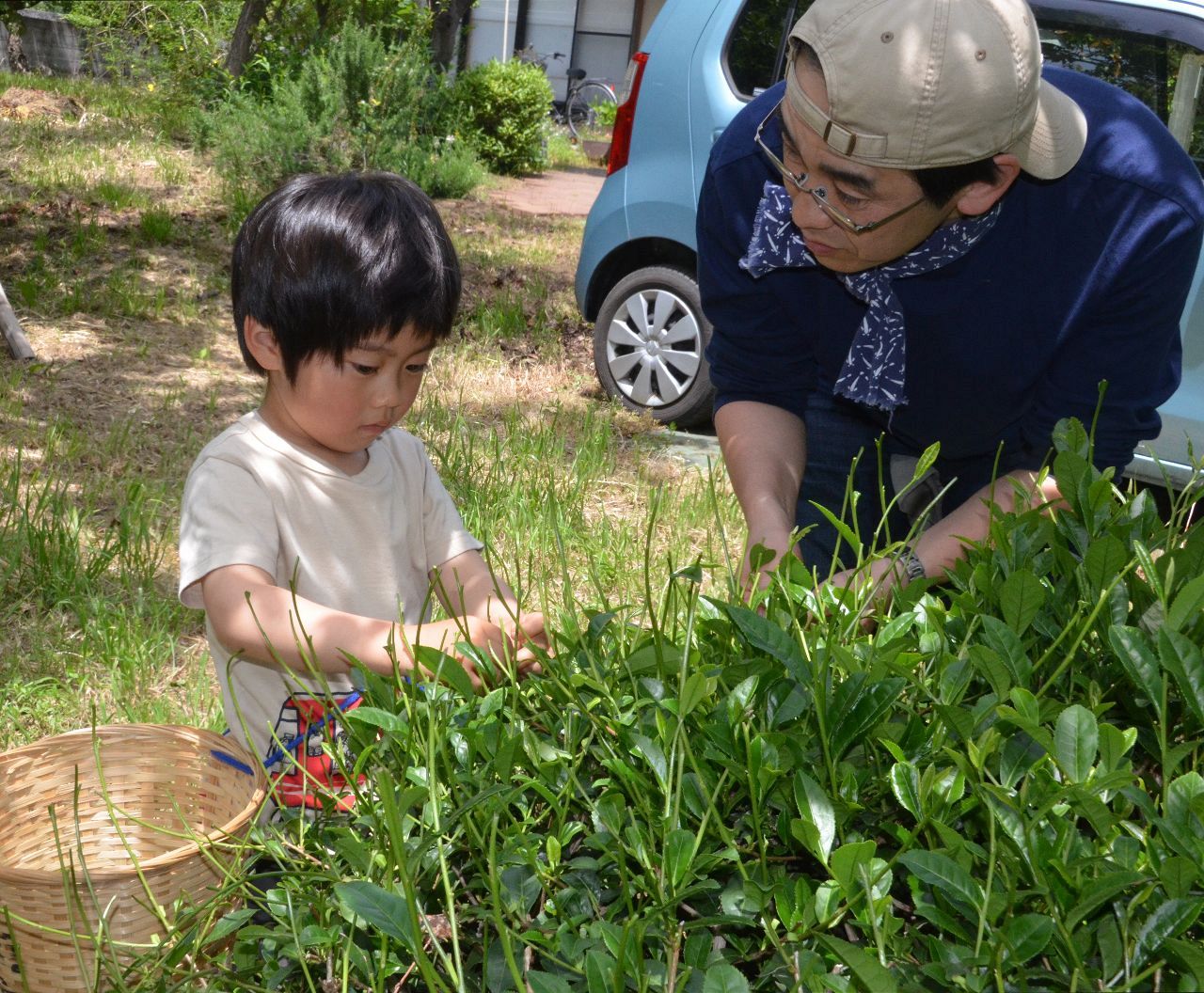 子どもたちに広がる日本茶の世界。オーガニック日本茶で食育体験。GLOBALTREE×THE NODOKA初のコラボイベント開催GlobalKids Methodグローバルキッズメソッド