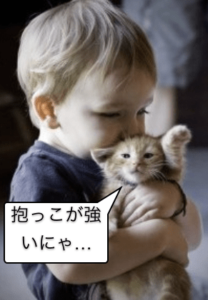 赤ちゃんと猫の同居は危ない？安全性・アレルギー・接触の注意点を解説PETTENA