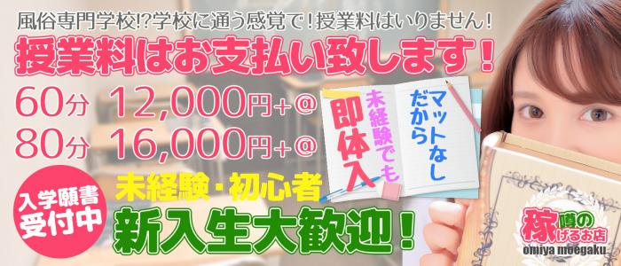 🔥読者投稿🔥萌えフードル学園 大宮本校(大宮［埼玉県］/ソープ) ゆいな(22)🔥ミニマムツインテールロリ嬢のパイパンマ＠コに２発射したレポ🔥