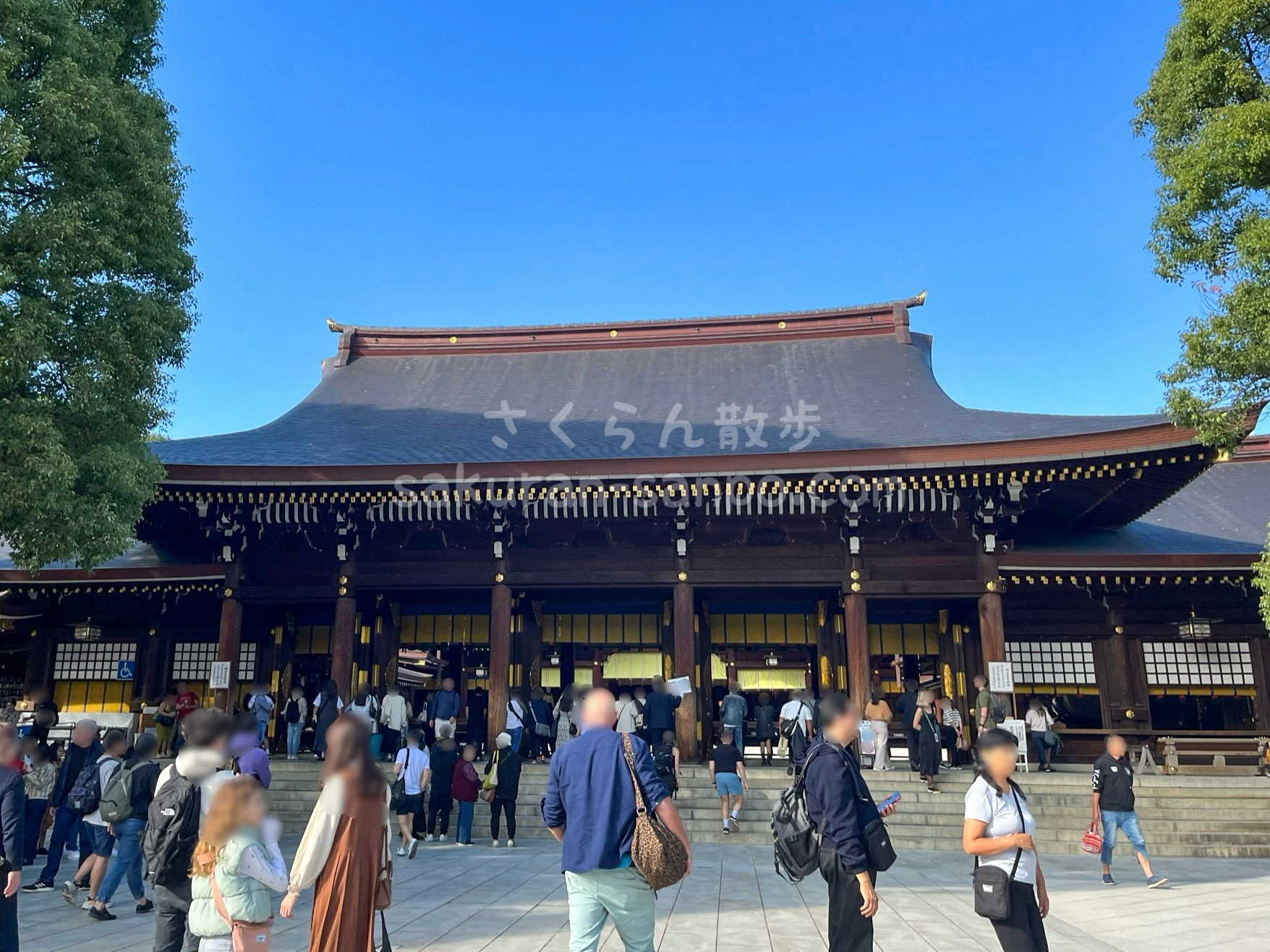 参拝者数は日本一！明治神宮の見どころやお参りの作法、四季の風景が美しい永遠の杜の魅力を紹介