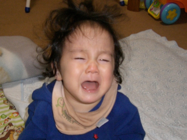 うちの赤ちゃん、後追いがすごいんです。先輩ママの乗り切り術 - 株式会社エバーセンス