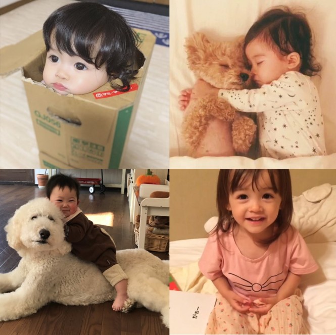 22,400点を超える赤ちゃん 女の子 日本人のストックフォト、写真、そしてロイヤリティフリーの画像 - iStock