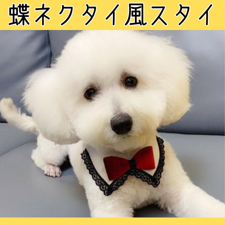 ペットスタイ 犬 猫 ドッグウェア 犬服 ペット服 ペット 前掛け よだれかけ ビブ スタイ 付け襟 タキシード 蝶ネクタイ フリル 結婚式 お祝いC240125PTC S M L : セレクトAG - 通販 - Yahoo!ショッピング