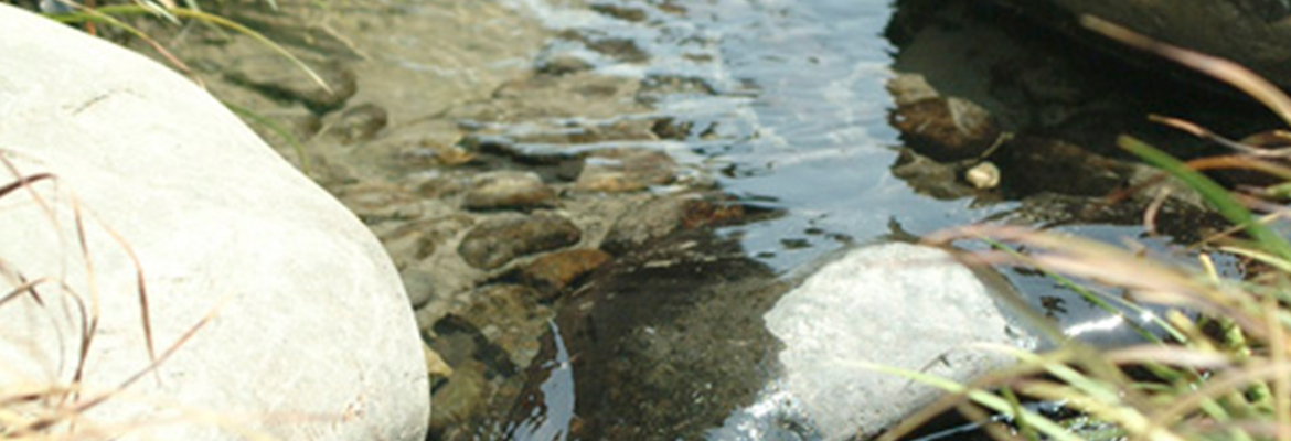 俳句 アーカイブ - KAIGEN 海原