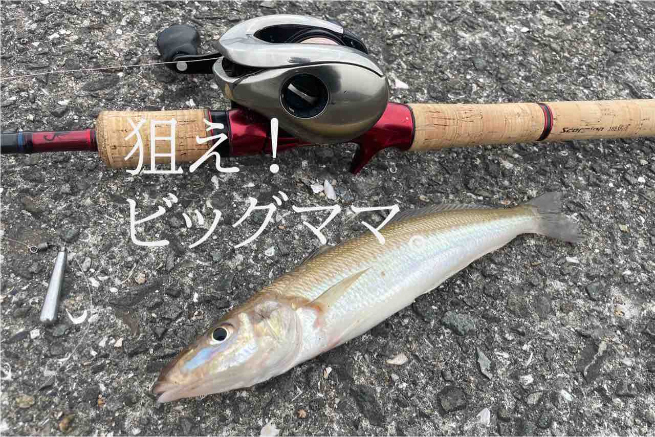 EMMARY エマリーby TeamCinderella