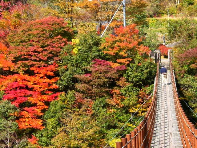 名古屋市民芸術祭2022 | 名古屋市文化振興事業団