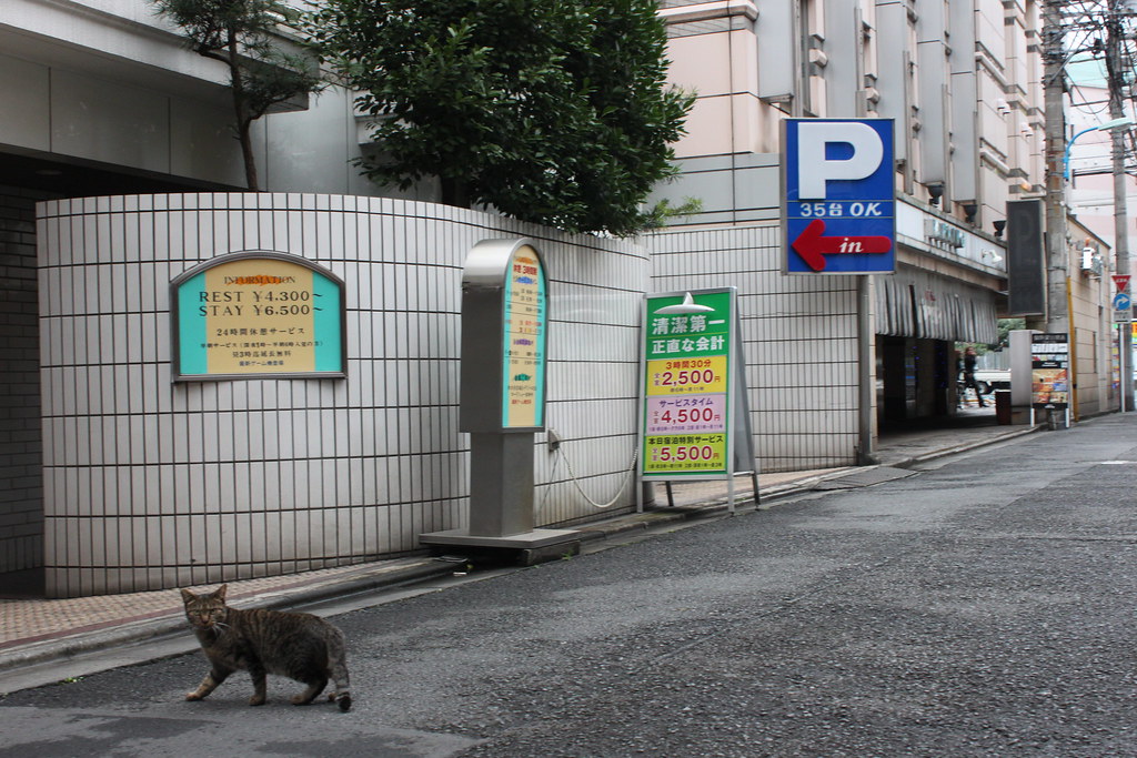 新宿歌舞伎町で人気のおすすめラブホテル！これだけは押さえておきたい20選 | ナイトライフJAPAN 4ページ