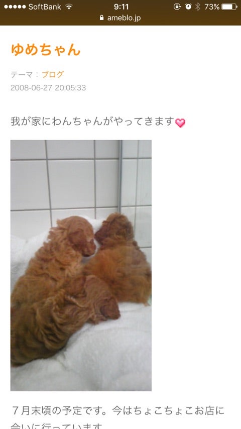 海老蔵改め市川團十郎白猿 麻央が残した愛犬ユメちゃんとラブちゃん 團十郎家の愛犬 - YouTube