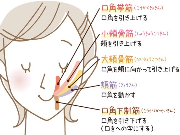 お知らせマガジンエッジ4月号に｢コウガさんの噛みぐせ｣15話を掲載月野和 青 🌕 さんのマンガツイコミ 仮