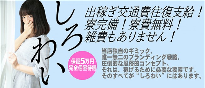 宮城の風俗出稼ぎ求人一覧|デリヘルやソープランドの高収入アルバイト情報|出稼ぎ女子