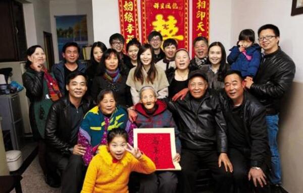 模様替えとすいすい家系図その後 - 潮路のとはずがたり雑記 shioji's notes