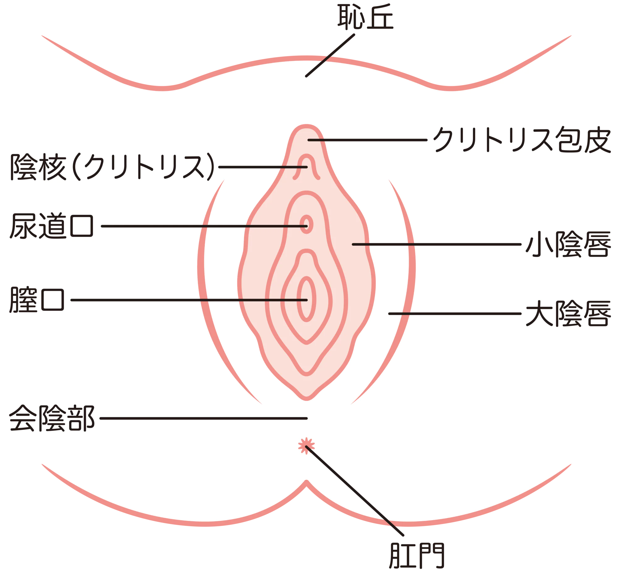 クリトリス包茎切除術 | KAZUKIプライベートクリニック【公式】｜美容外科・形成外科・皮膚科・婦人科