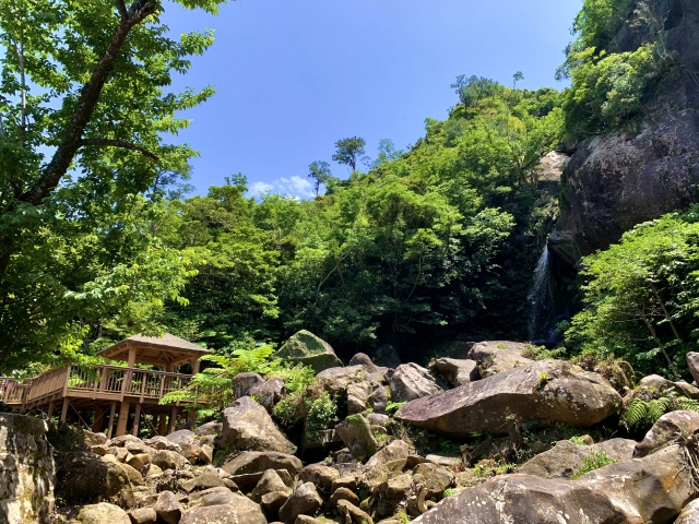 くじら組 ４歳児 ～羽地ダムに行ってみよう！～沖縄県 那覇市 みやびの杜保育園社会福祉法人 雅福祉会
