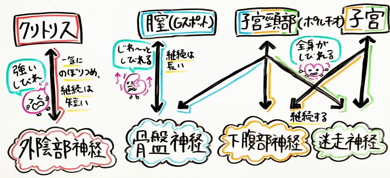 百合園セイア『体外式ポルチオ開発110日目』 - うさぎ兎さめ (うさぎ兎さめ)の投稿｜ファンティア[Fantia]