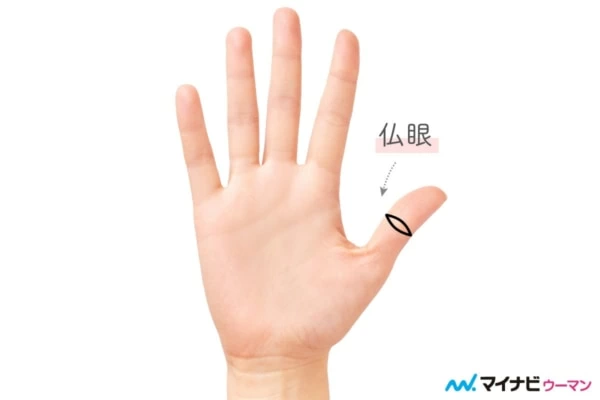 家族想いで情熱家な手🖐️ファミリーリングからは家族を大切にする方。 感情線からは凄い集中力をみせる情熱家なことがわかります。ファミリーリング感情線手相手相占い手相鑑定ネーミング手相