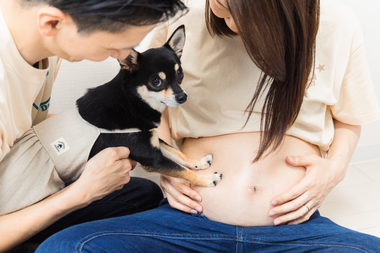 愛犬と一緒にマタニティフォトを撮影するなら！プランの詳細や実例を紹介 - ハピリィフォトスタジオ