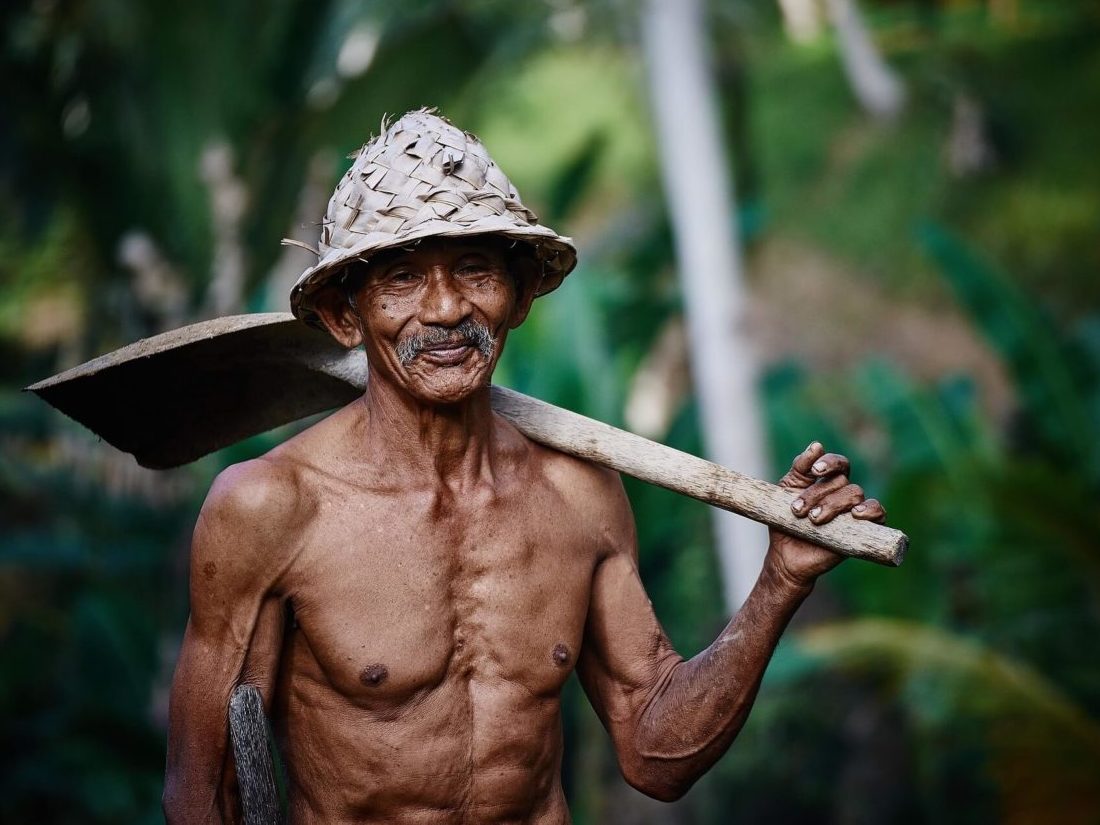 ヒサーノ@筋肉の人 on X: 