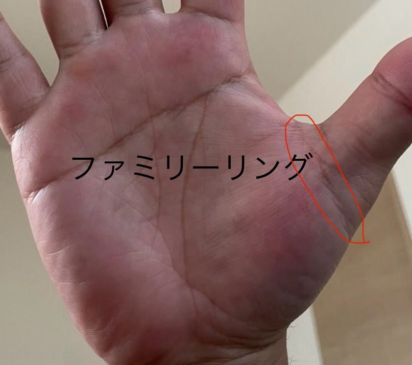 右手ファミリーリング手相TikTok