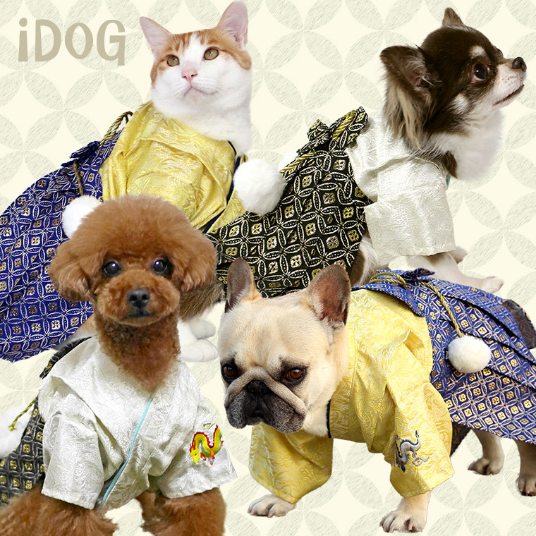 年賀状特集犬の服のiDog＆iCat