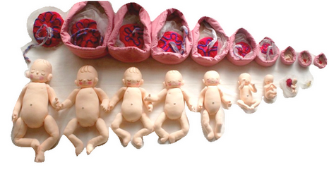 赤ちゃんの大きさは？妊娠週ごとの果物のサイズデジタルダウンロード - Etsy 日本