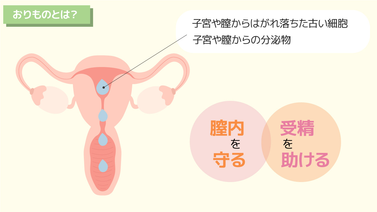 特集「気になるおりものの異常とかゆみ」｜山口レディスクリニック 神戸三宮の婦人科クリニック