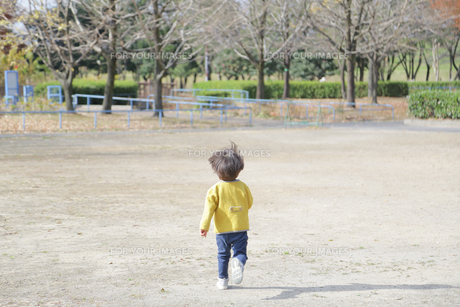 道を歩く後ろ姿の子供の写真・画像素材-Snapmart スナップマート