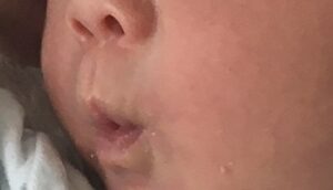 生後7カ月の赤ちゃん、二度と撮れない奇跡的瞬間 リクエストに応えたおちょぼ口「あざと可愛い」ラジトピ ラジオ関西トピックス