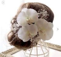 卒業式のドライフラワーは縁起が悪い?マナーと贈り方の完全ガイドkukka*life