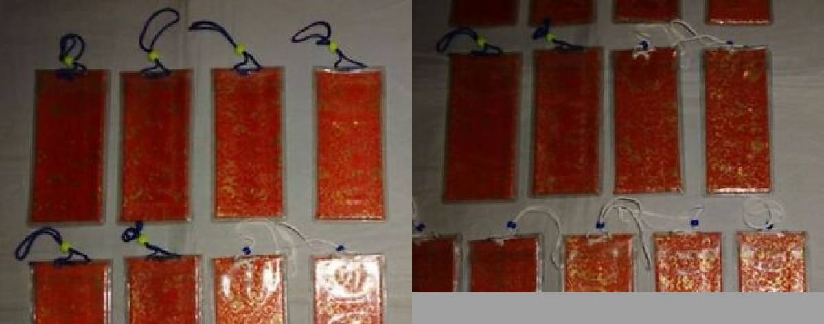 五段の邪気からあなたを守ります 五段御守Pay ID