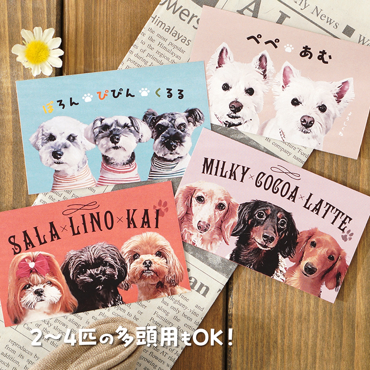 konoirokonoha さまの、マルクちゃん・ポカリちゃんの両面ペット名刺を作成しました。 サンプルを元に情報を整理して作成。ご注文・掲載許可ありがとうございました!ペット名刺もふり堂うちの子名刺犬わんこ犬のいる暮らしいぬのいる生活わんこのいる